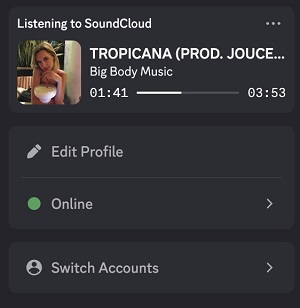 soundcloud discord status