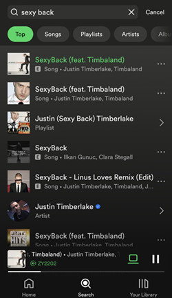 spotify mobile search explicit content clean version