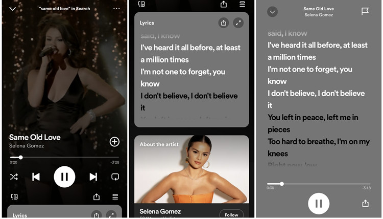 spotify mobile view lyrics