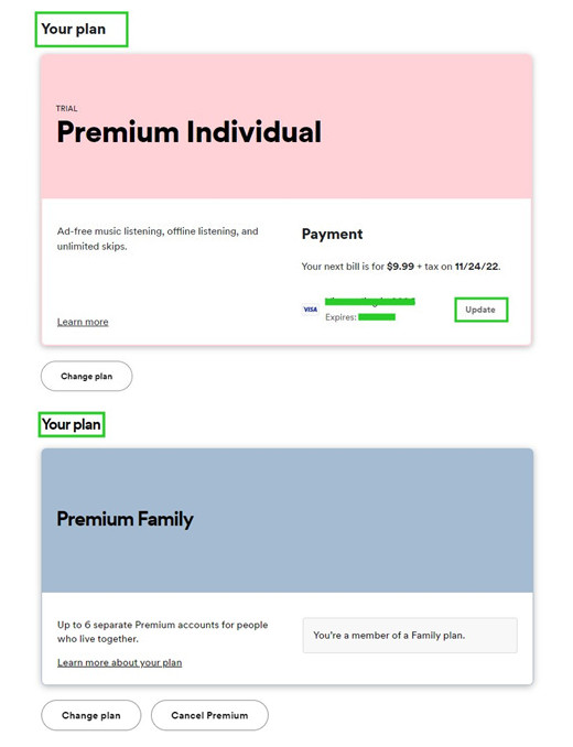 spotify account overview premium family vs individual