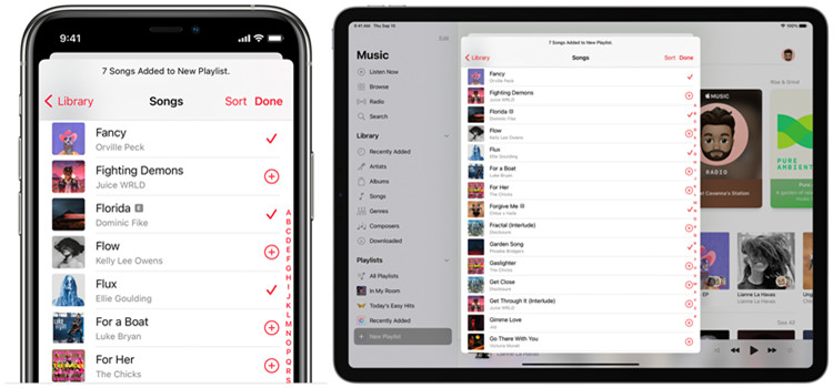 Apple Music Playlists support