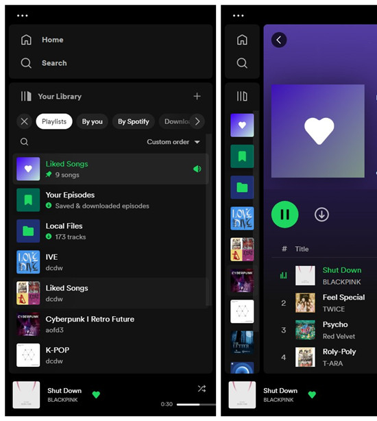 spotify desktop adjust library view