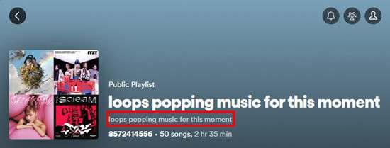 spotify desktop playlist edit description only