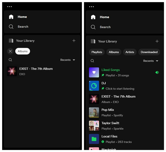 spotify desktop filter your library