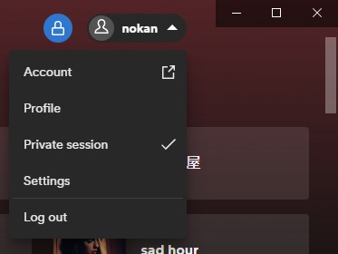 spotify desktop private session