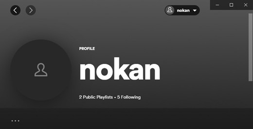 spotify desktop profile