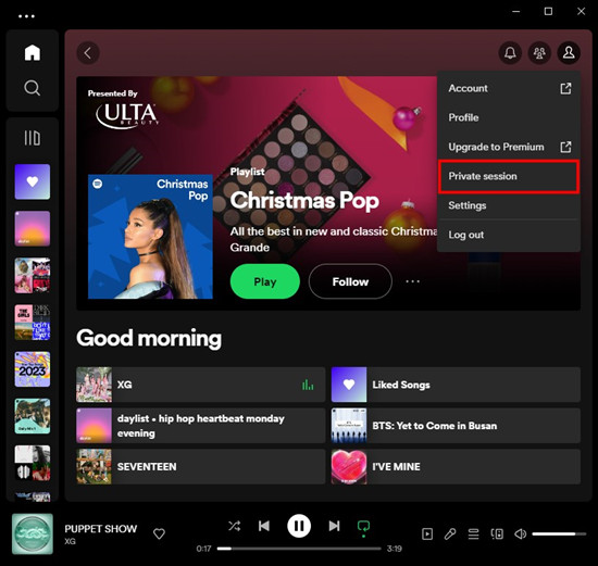 spotify desktop private session