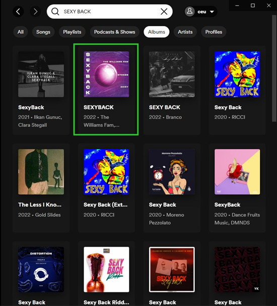 spotify desktop search explicit content album