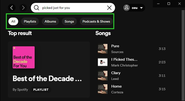 spotify desktop search picked just for you options