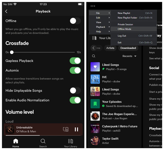 spotify desktop vs mobile offline mode