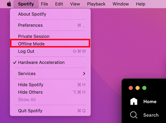 spotfiy mac offline mode