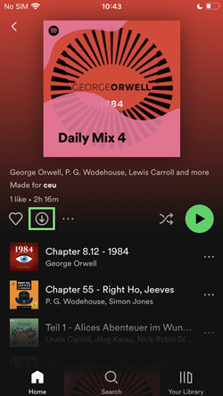 spotify mobile download daily mix