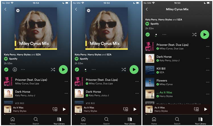 spotify mobile download offline