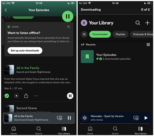 How to Download Music From Spotify