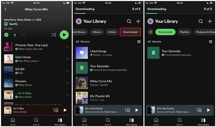 spotify mobile find downlaoded items