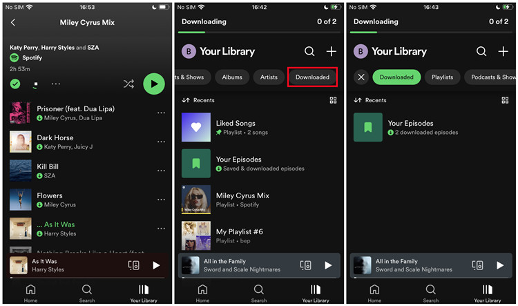Spotify offline to online outlet