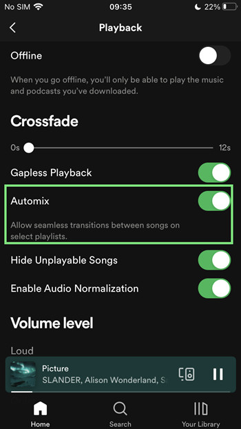 spotify mobile playback automix