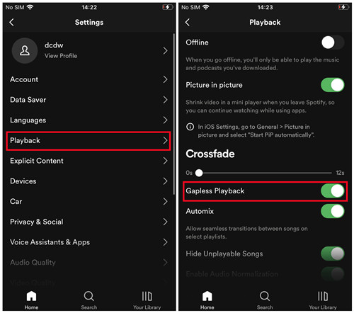 spotify mobile playback gapless playback