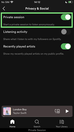 spotify mobile private session on