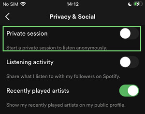 spotify mobile private session