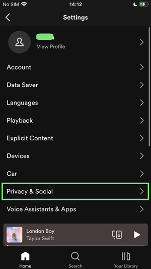 spotify mobile private social