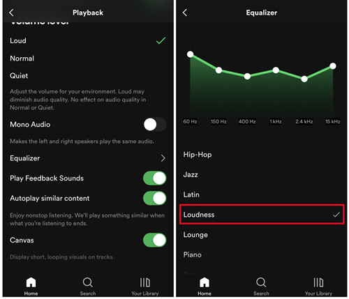 spotify mobile settings playback equalizer loudness