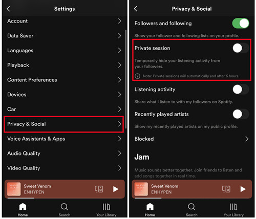 spotify mobile settigs privacy social provate session