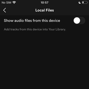 spotify mobile show aduio files from this device