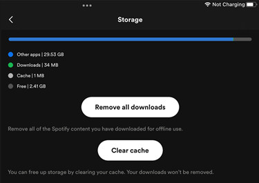 spotify mobile storage settings