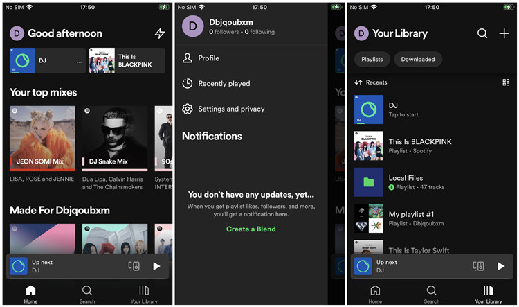 spotify mobile user interface