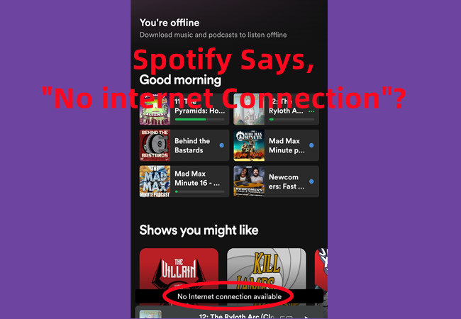 spotify no internet connection