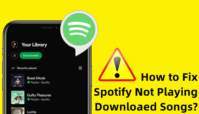 fix spotify not playing downloaded songs