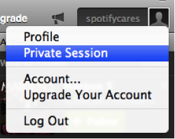 How to open Spotify Private Session - Atlas VPN