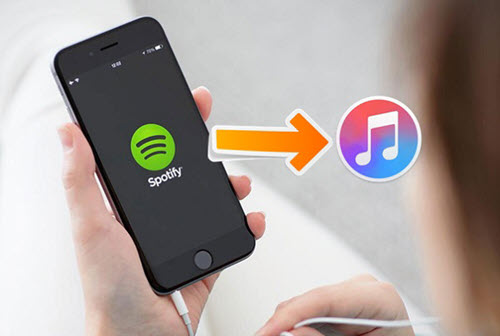 transfer spotify to itunes