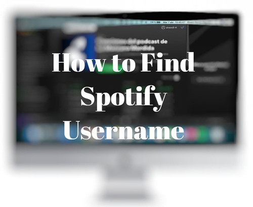 spotify username