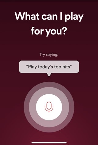 how to use spotify voice search