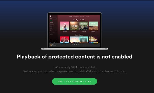 spotify web player not play
