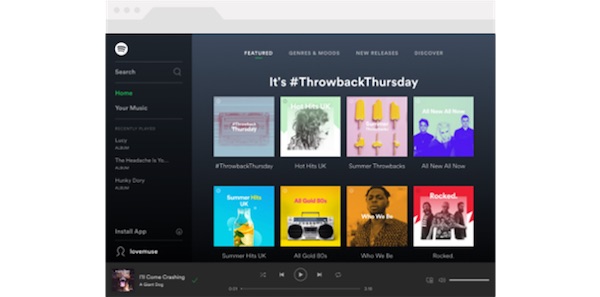 spotify web player