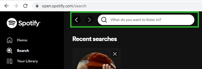 Spotify web search bar