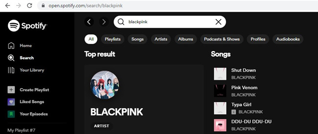 Spotify web Search result