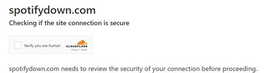 spotifydown captcha
