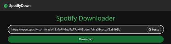 pegar enlace de album de spotify en spotifydown