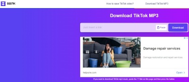 ssstik tiktok online downloader