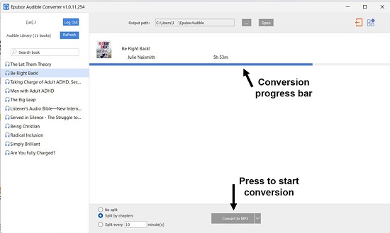 start audible epubor conversion