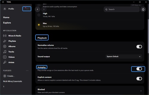 tidal autoplay on and off on computer