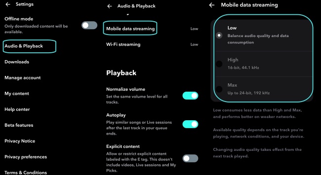 tidal mobile audio setting