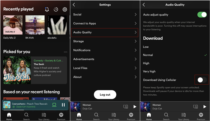 turn off data on spotify