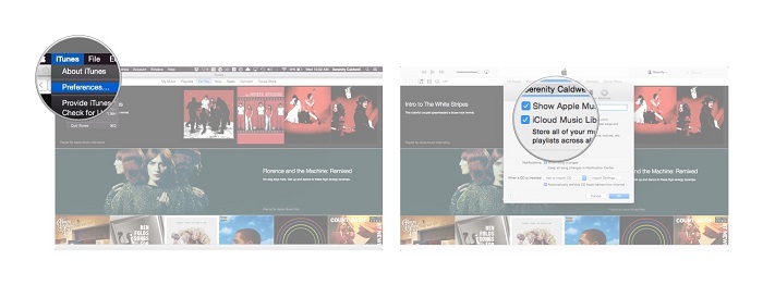 uncheck icloud music library option