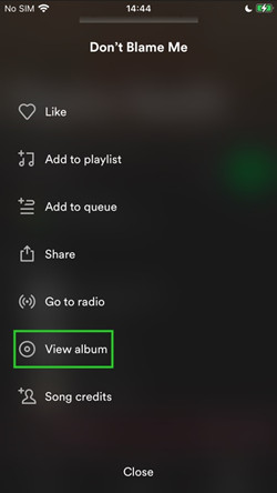 view album button on Spotify for mobile