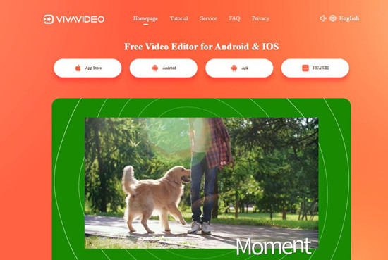 vivavideo web